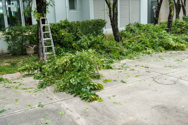 Reliable Fort Mckinley, OH Tree Service Solutions